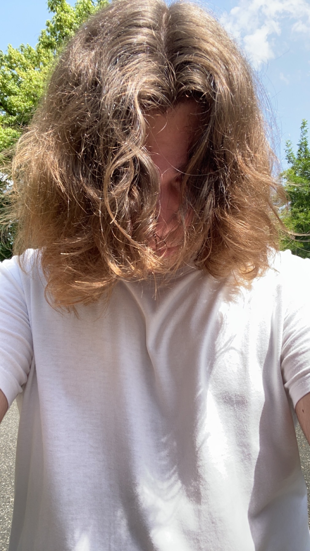 Profil de Sabre, 20 ans, Trans Suisse à Schlierbach