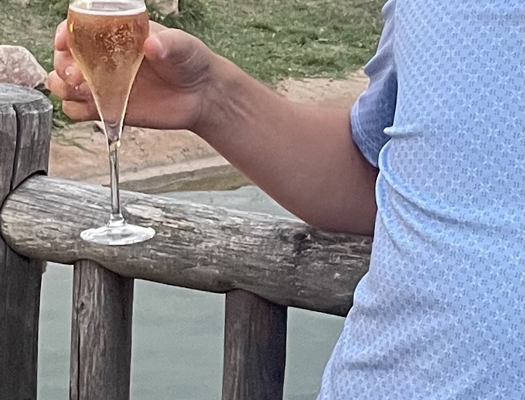Profil de Belgacem, 48 ans, Trans Suisse à Cama